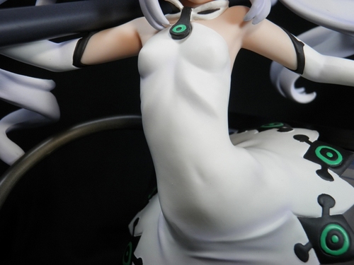 パレットお腹.JPG
